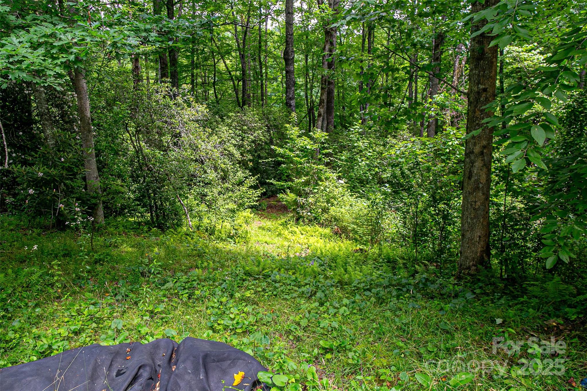 164 Horseplay Lane Lake Toxaway NC 28747