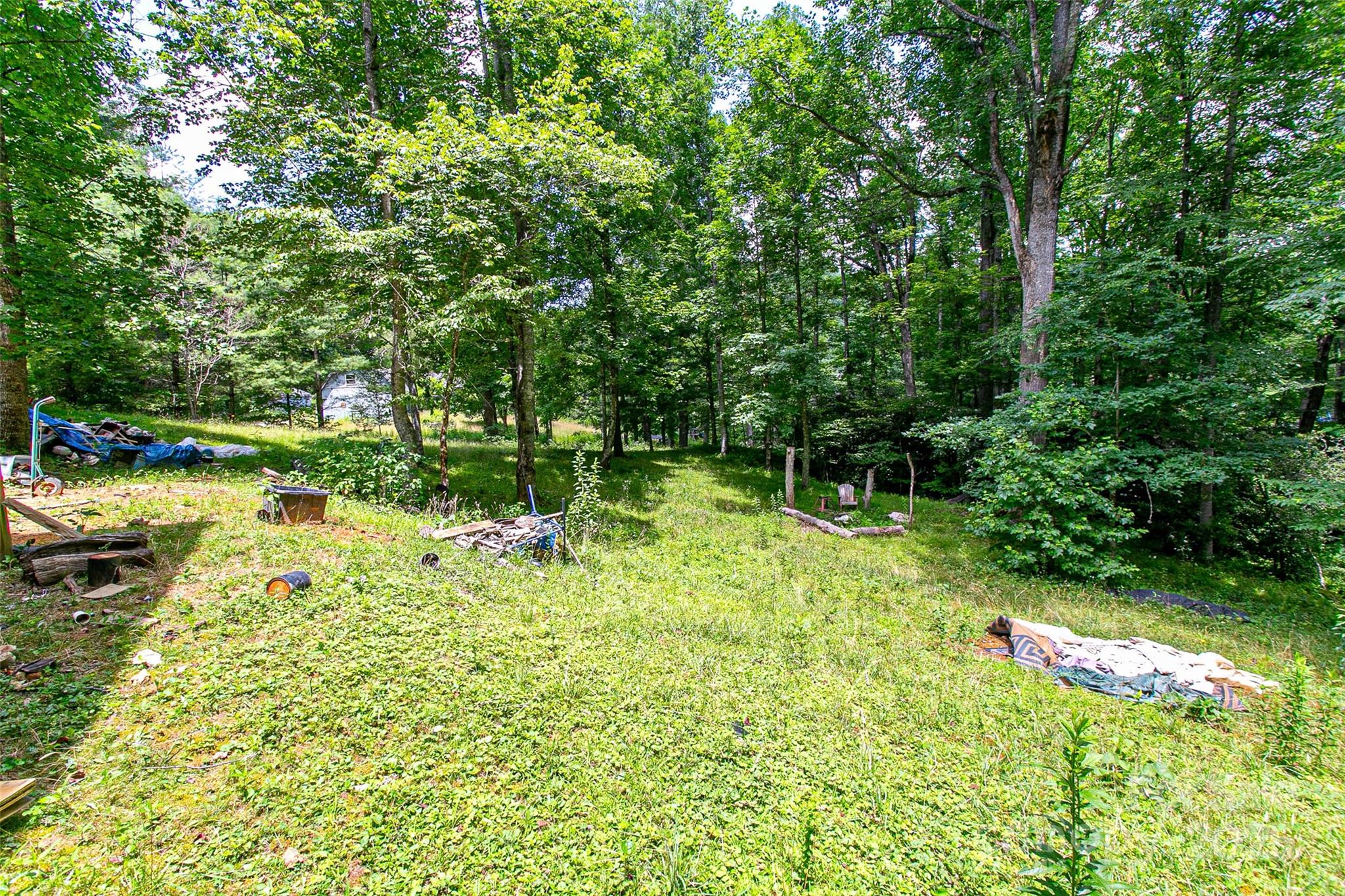 164 Horseplay Lane Lake Toxaway NC 28747