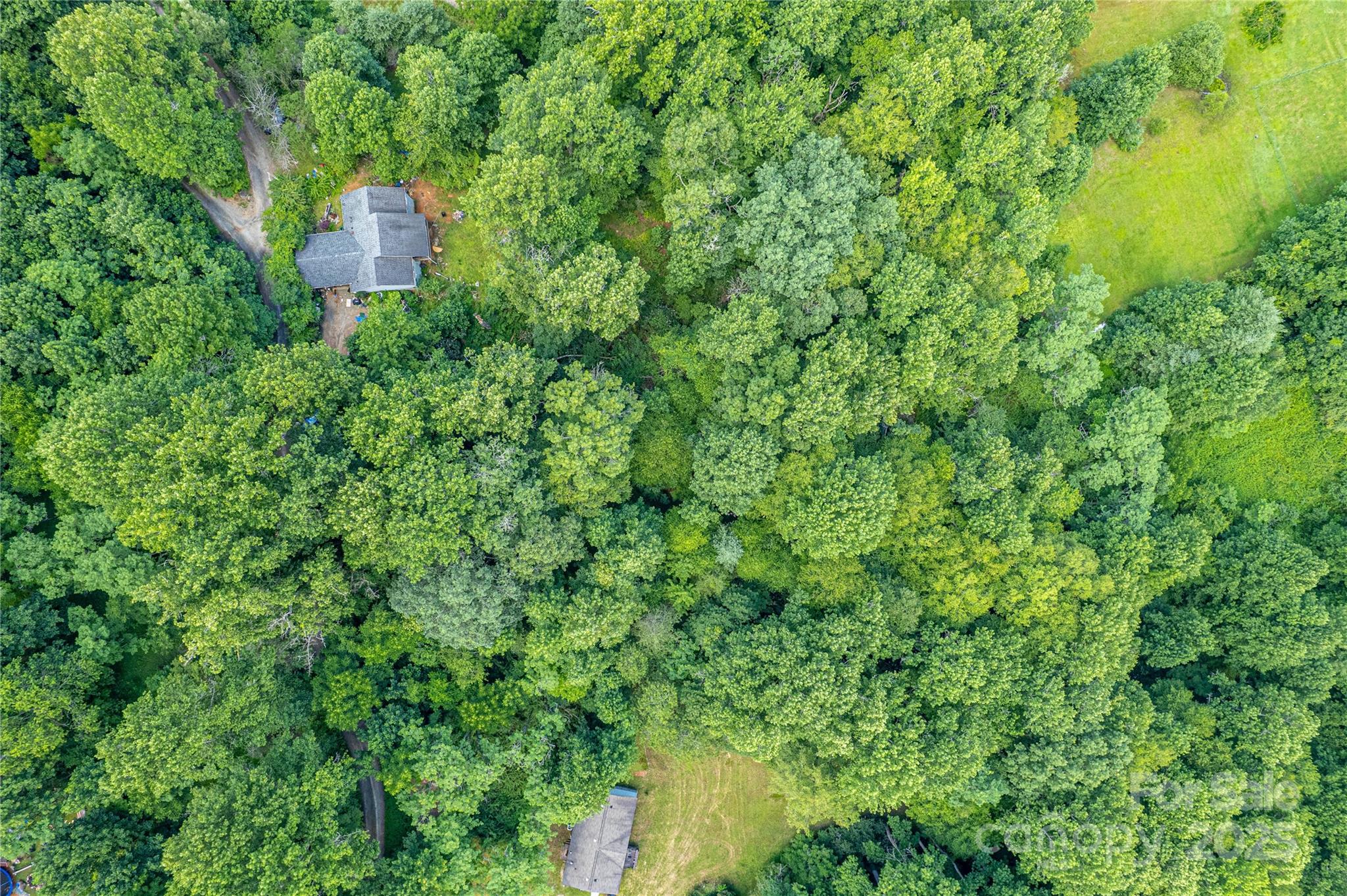 164 Horseplay Lane Lake Toxaway NC 28747