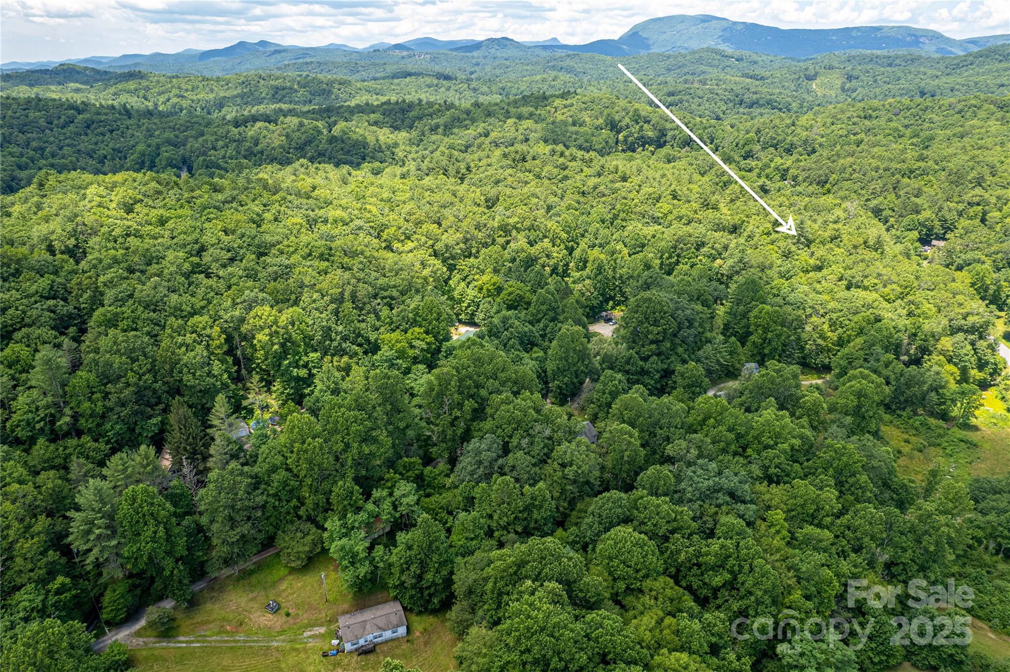 164 Horseplay Lane Lake Toxaway NC 28747