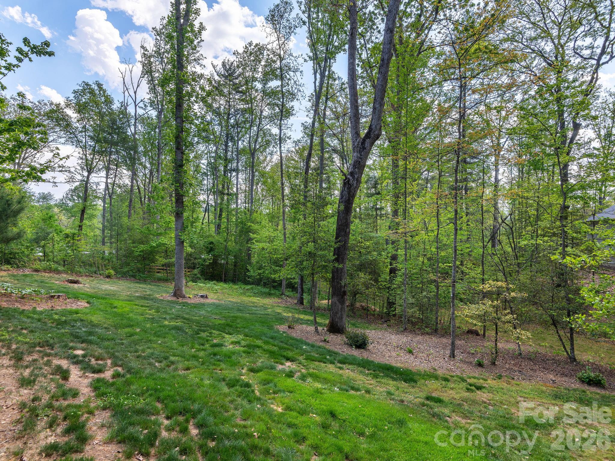 41 Hawberry Court Asheville NC 28805