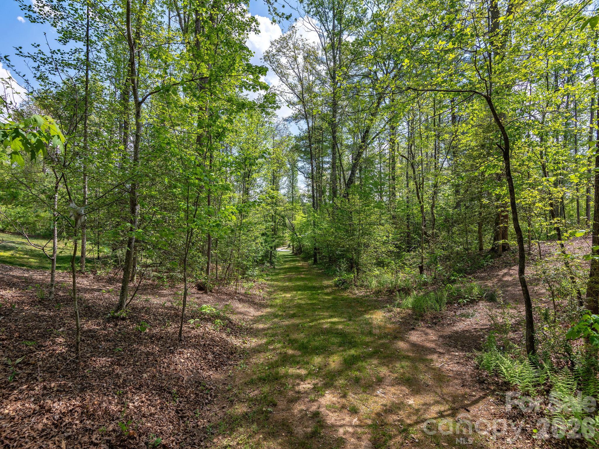 41 Hawberry Court Asheville NC 28805