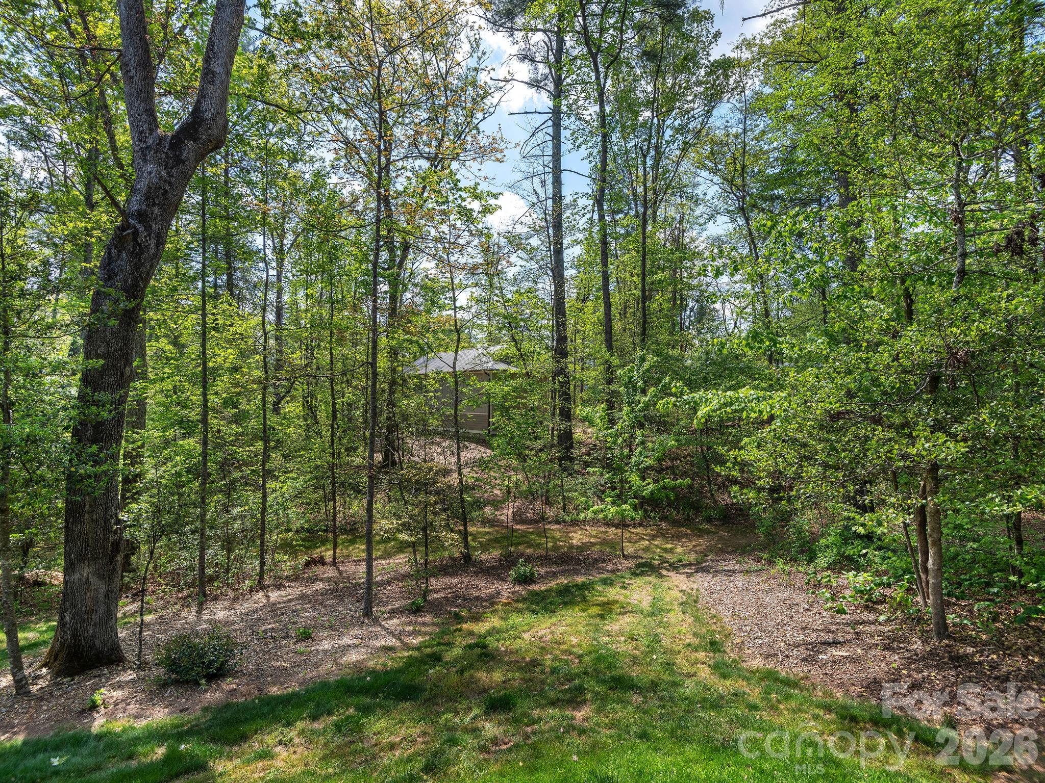41 Hawberry Court Asheville NC 28805
