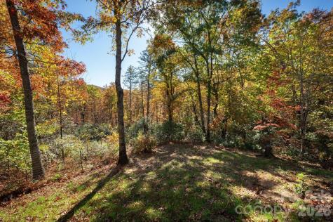 22 Faholoa Ridge Road Black Mountain NC 28711