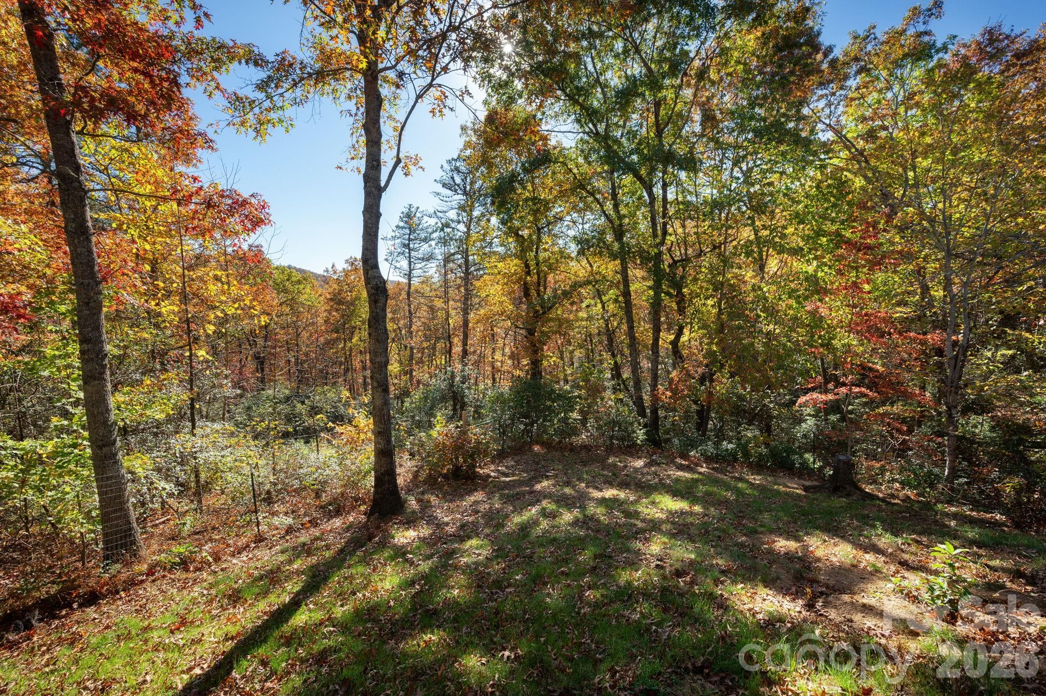 22 Faholoa Ridge Road Black Mountain NC 28711