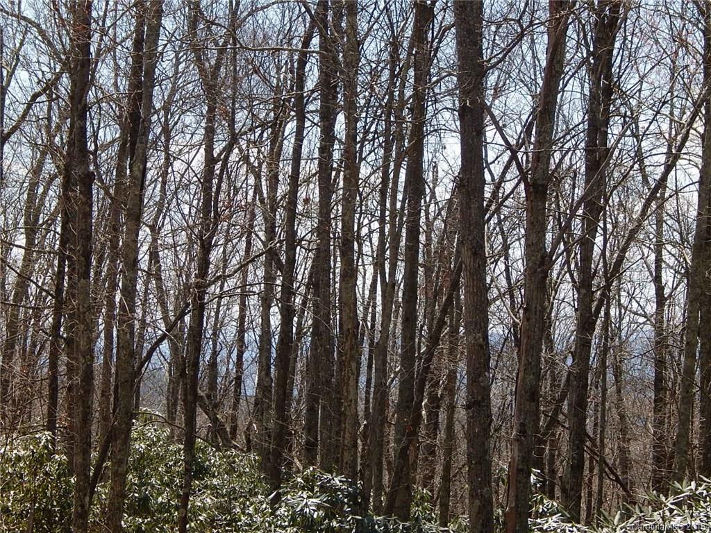 144 Panther Gap Road Brevard NC 28712