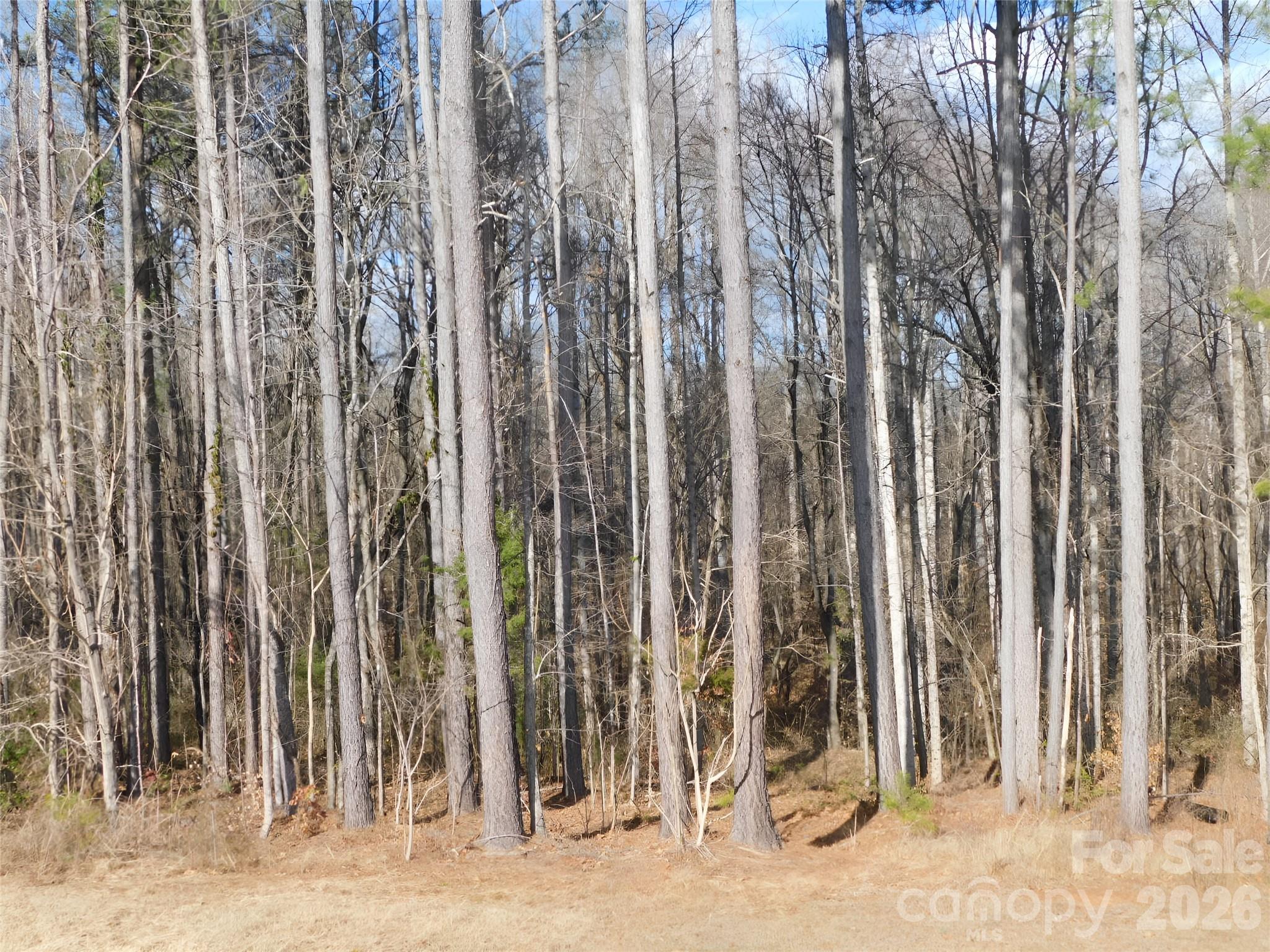 149 Bramble Trail Salisbury NC 28144