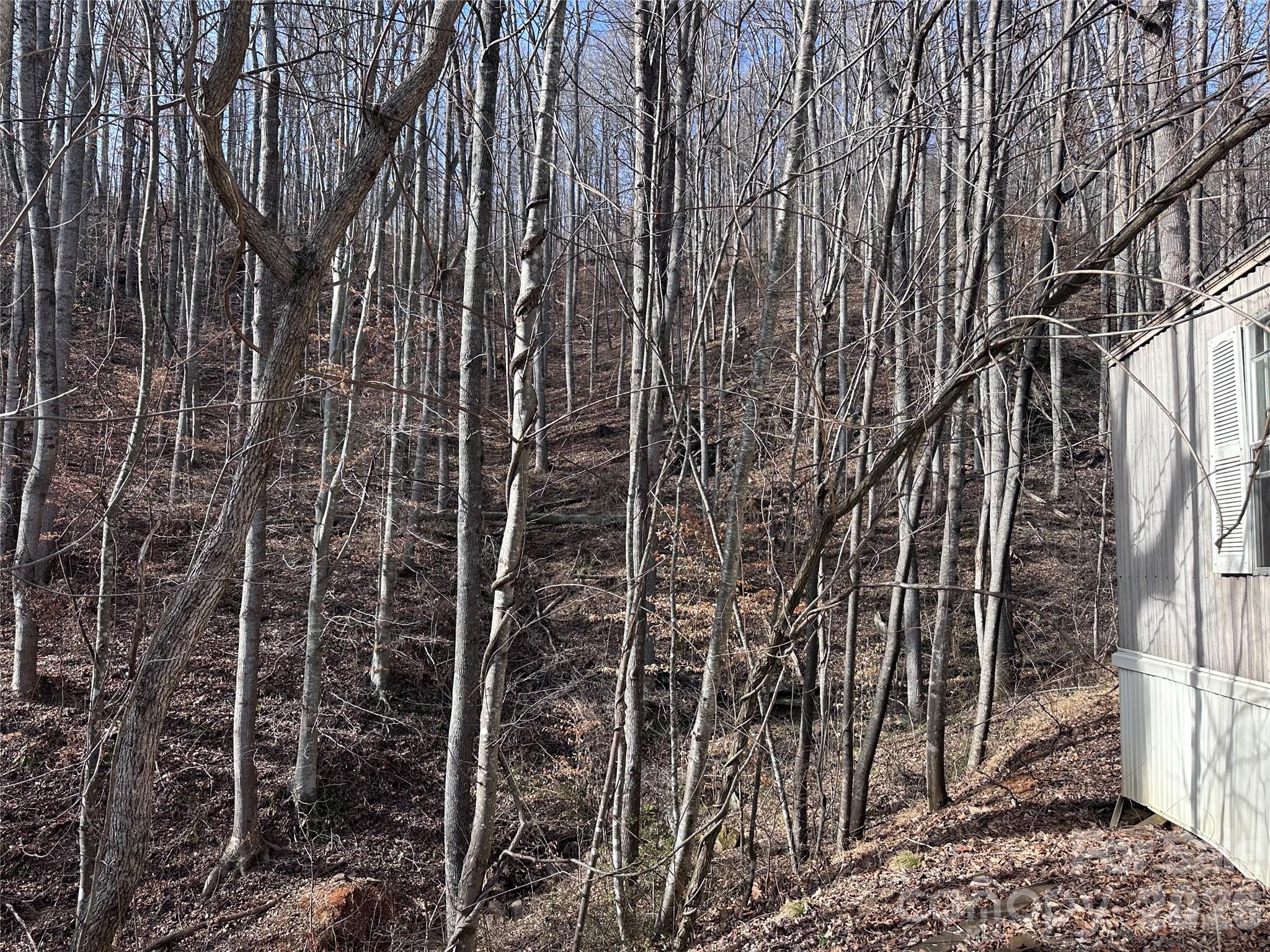 224 Riddle Road Swannanoa NC 28778
