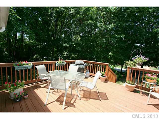 1408 Brittle Creek Drive Matthews NC 28105