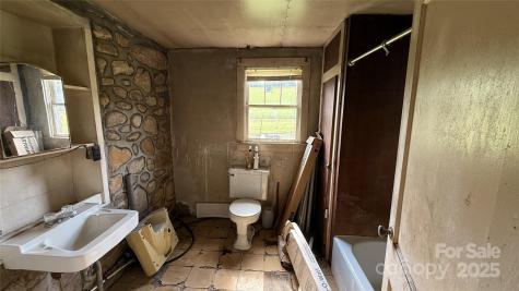 41 Upper Shut In Road Hot Springs NC 27843