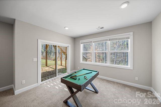 628 Baneberry Bluff Court Rock Hill SC 29732