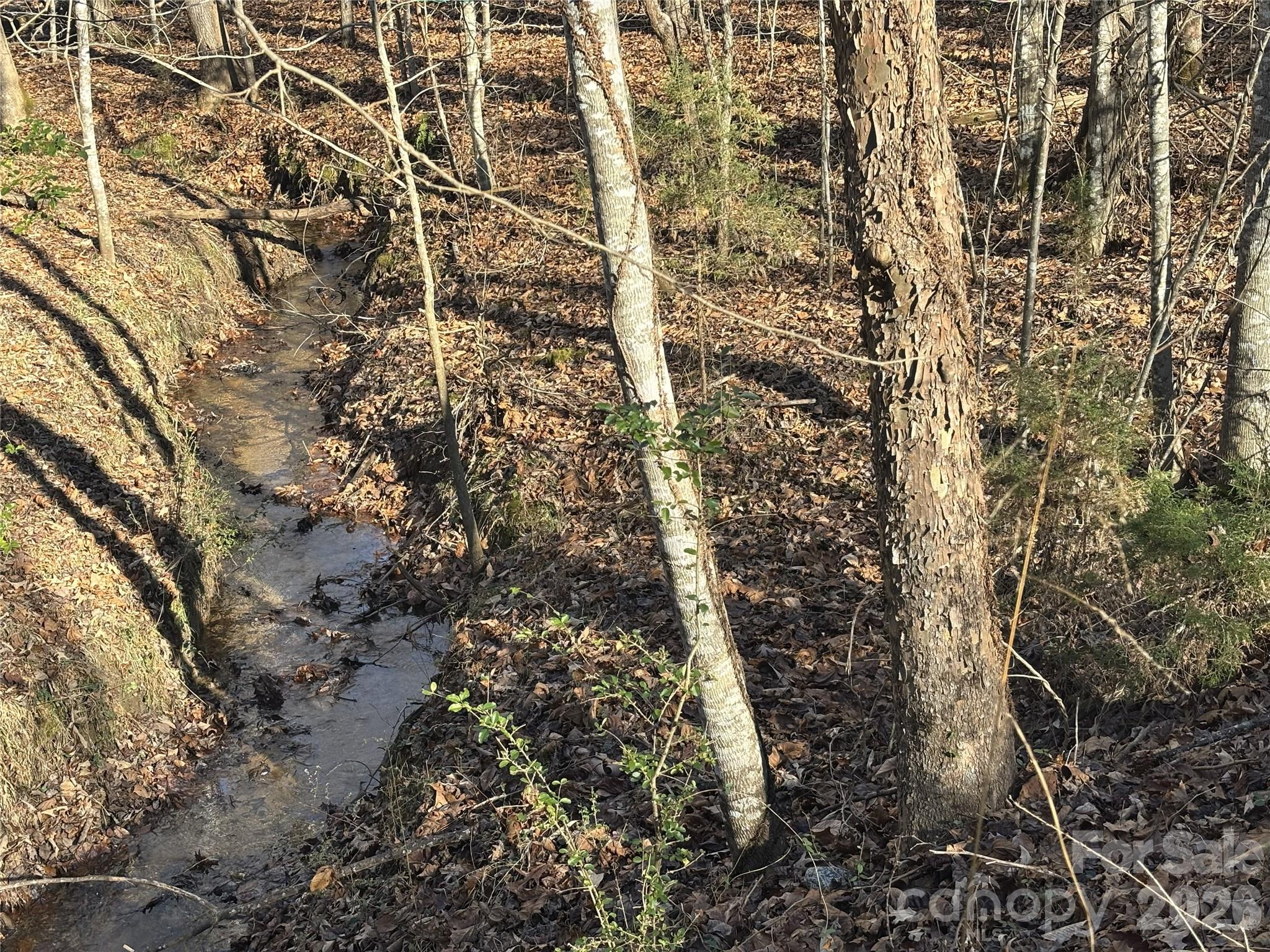 926 Cross Creek Drive Rutherfordton NC 28139