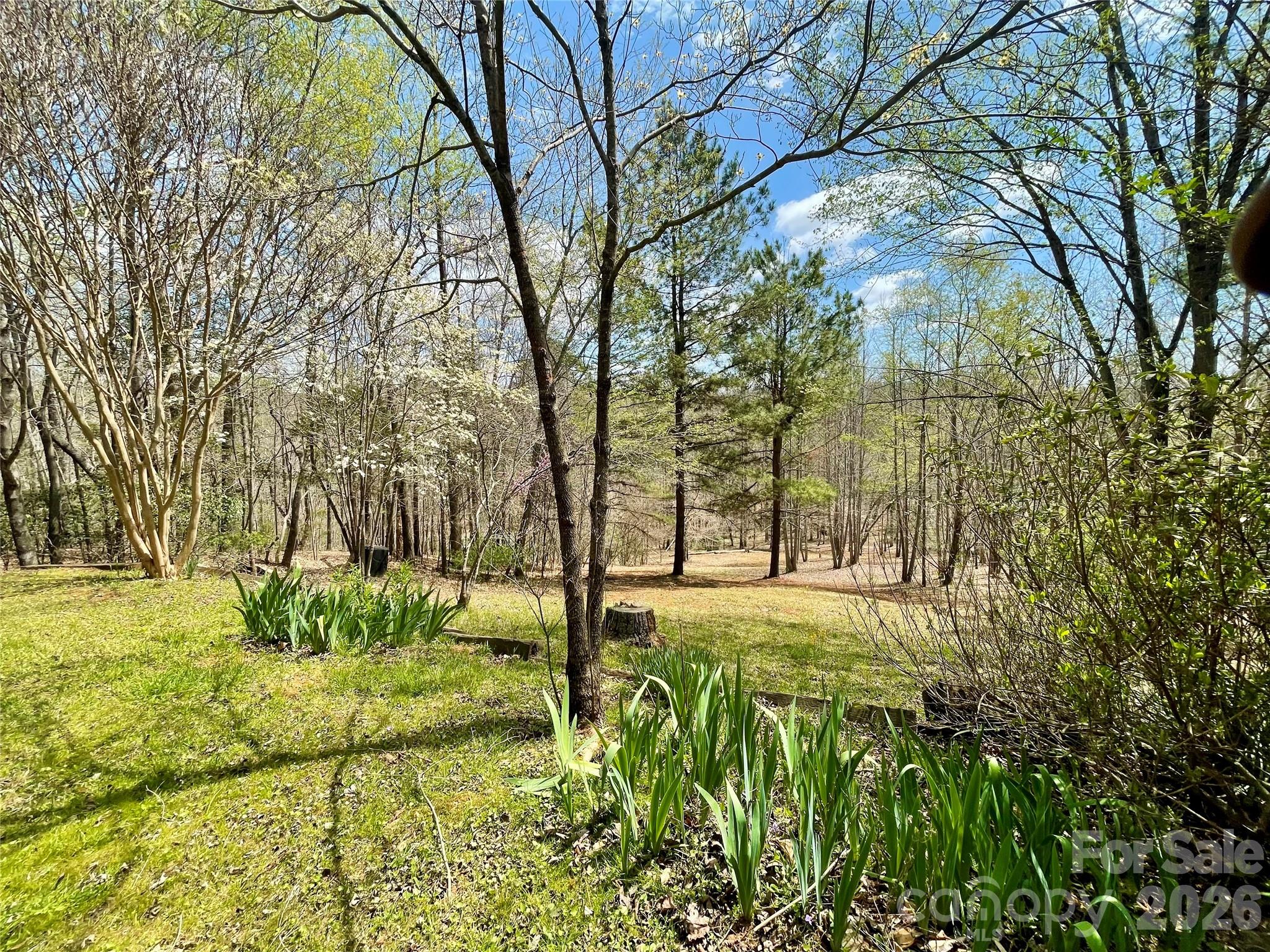 926 Cross Creek Drive Rutherfordton NC 28139