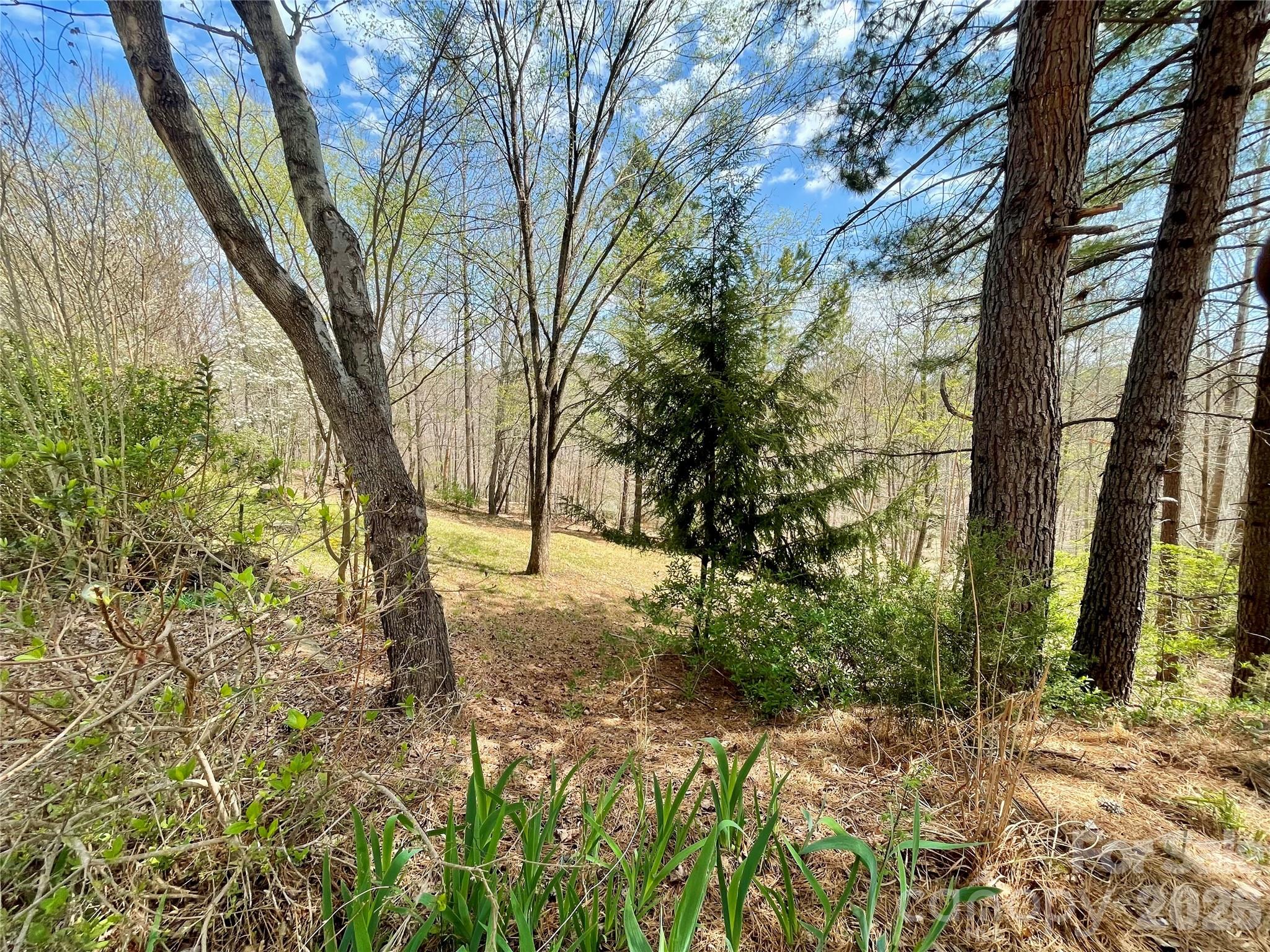 926 Cross Creek Drive Rutherfordton NC 28139