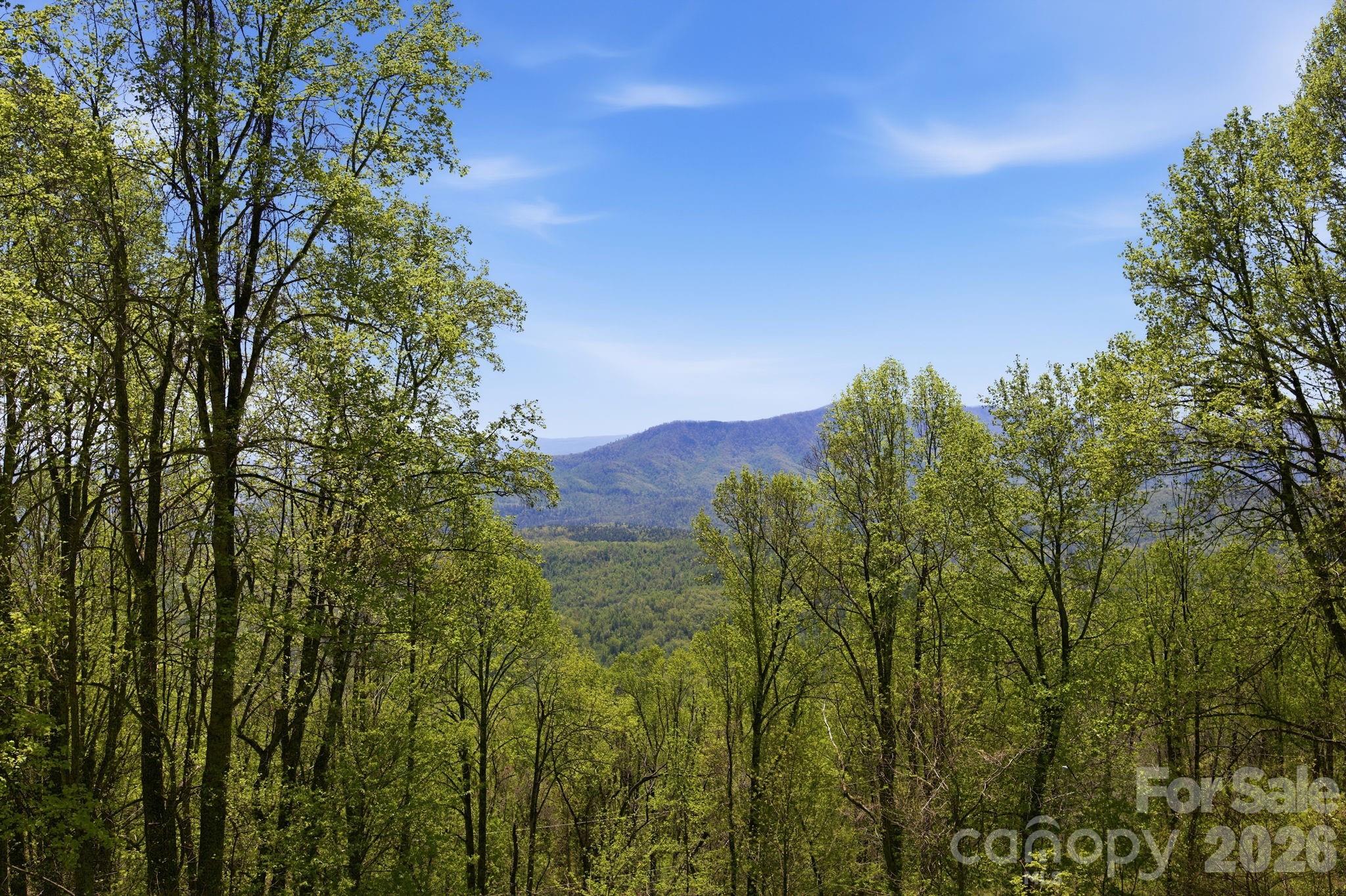 199 Alpine Drive Marion NC 28655