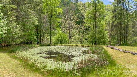 16 Caddis Court Marshall NC 28753