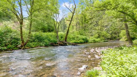 16 Caddis Court Marshall NC 28753