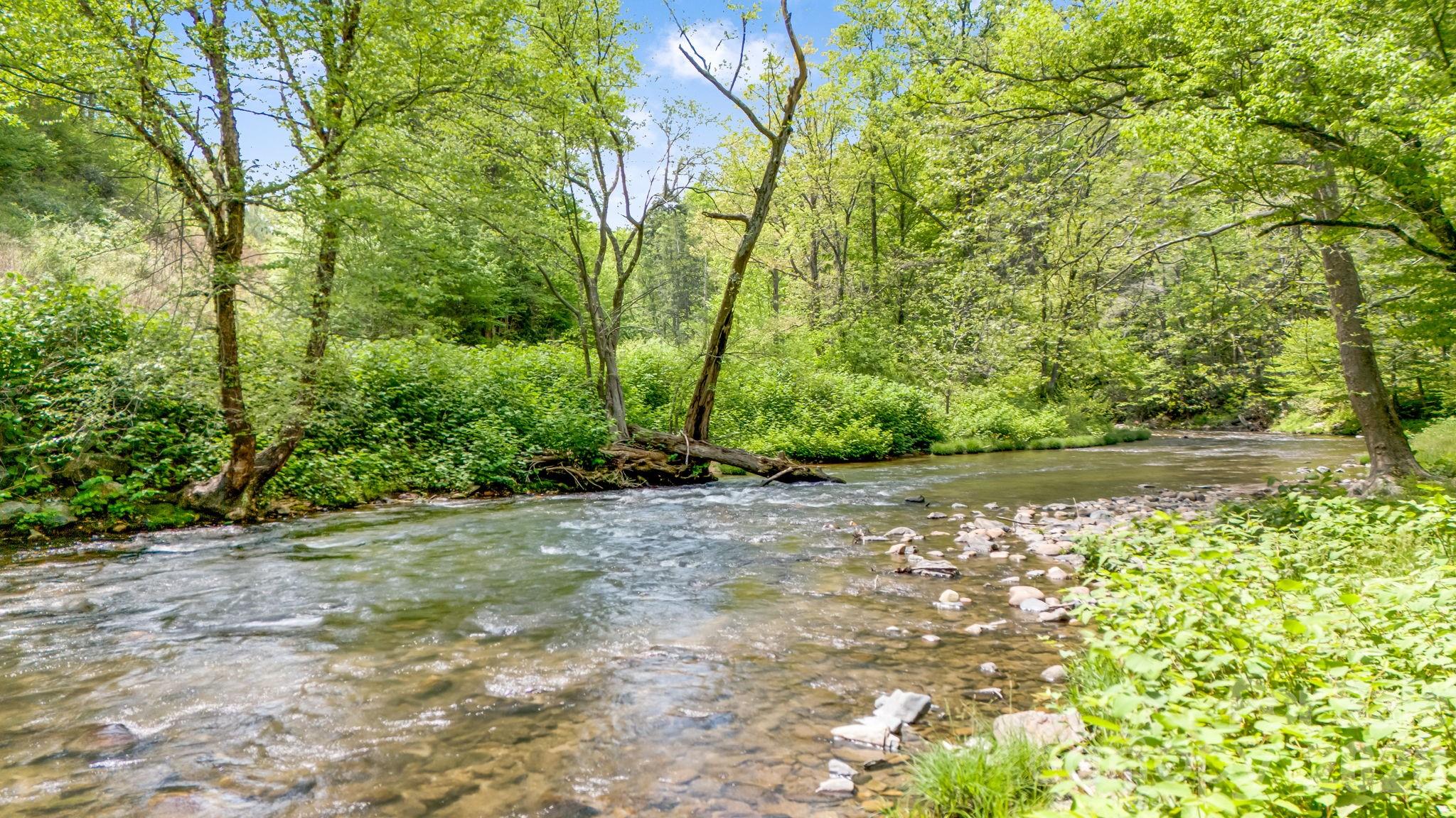 16 Caddis Court Marshall NC 28753