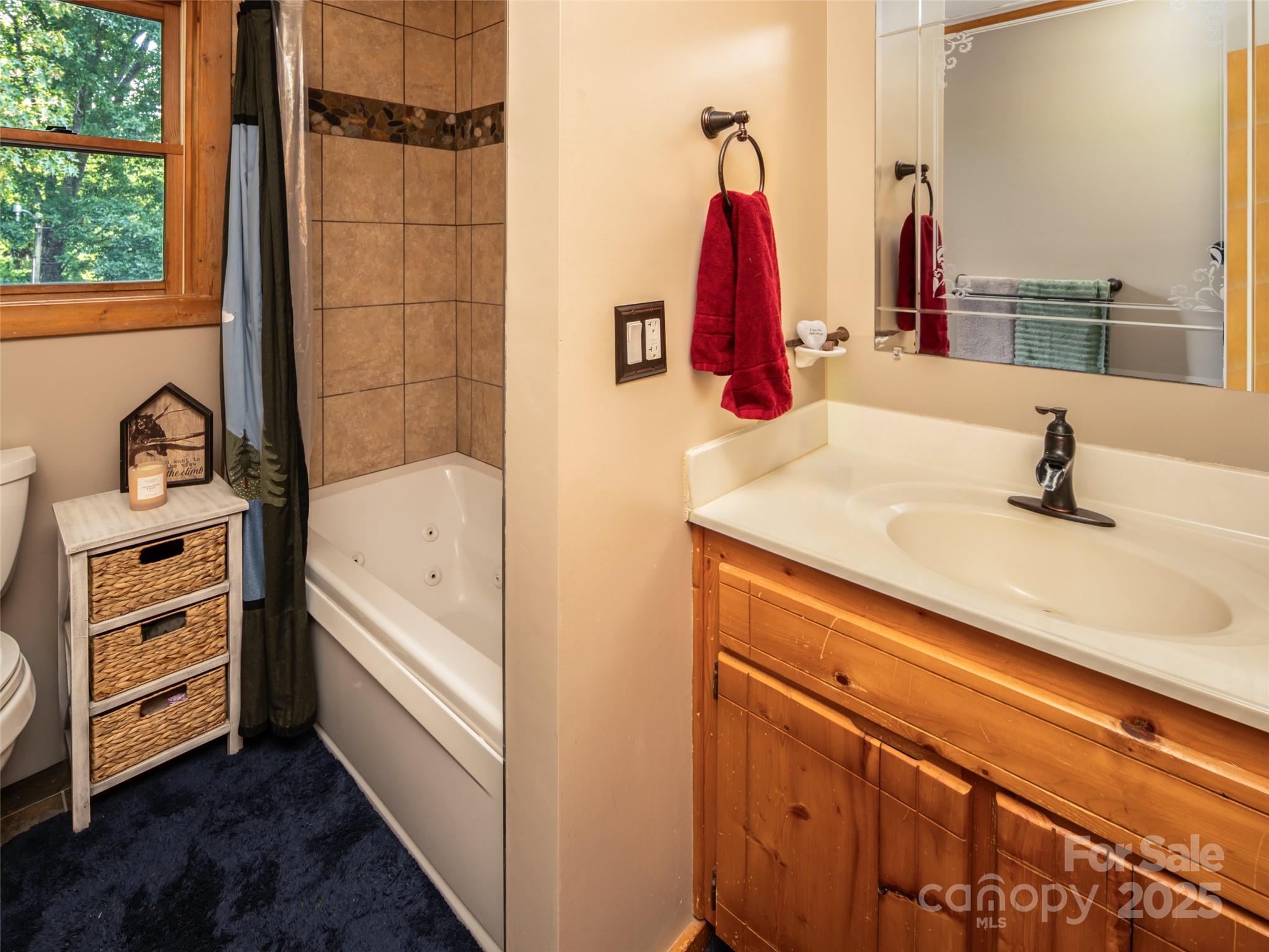 50 Holland Ridge Drive Candler NC 28715