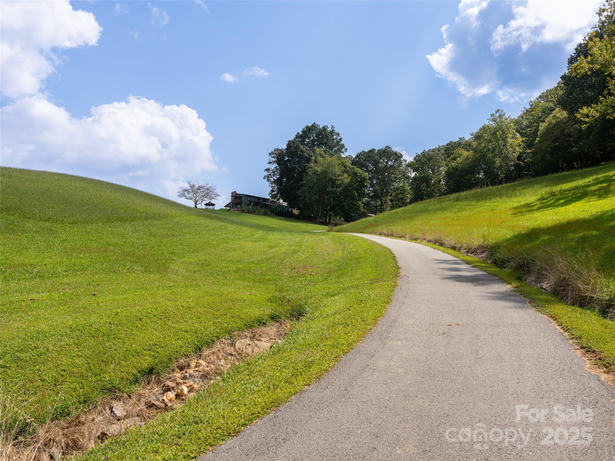 50 Holland Ridge Drive Candler NC 28715