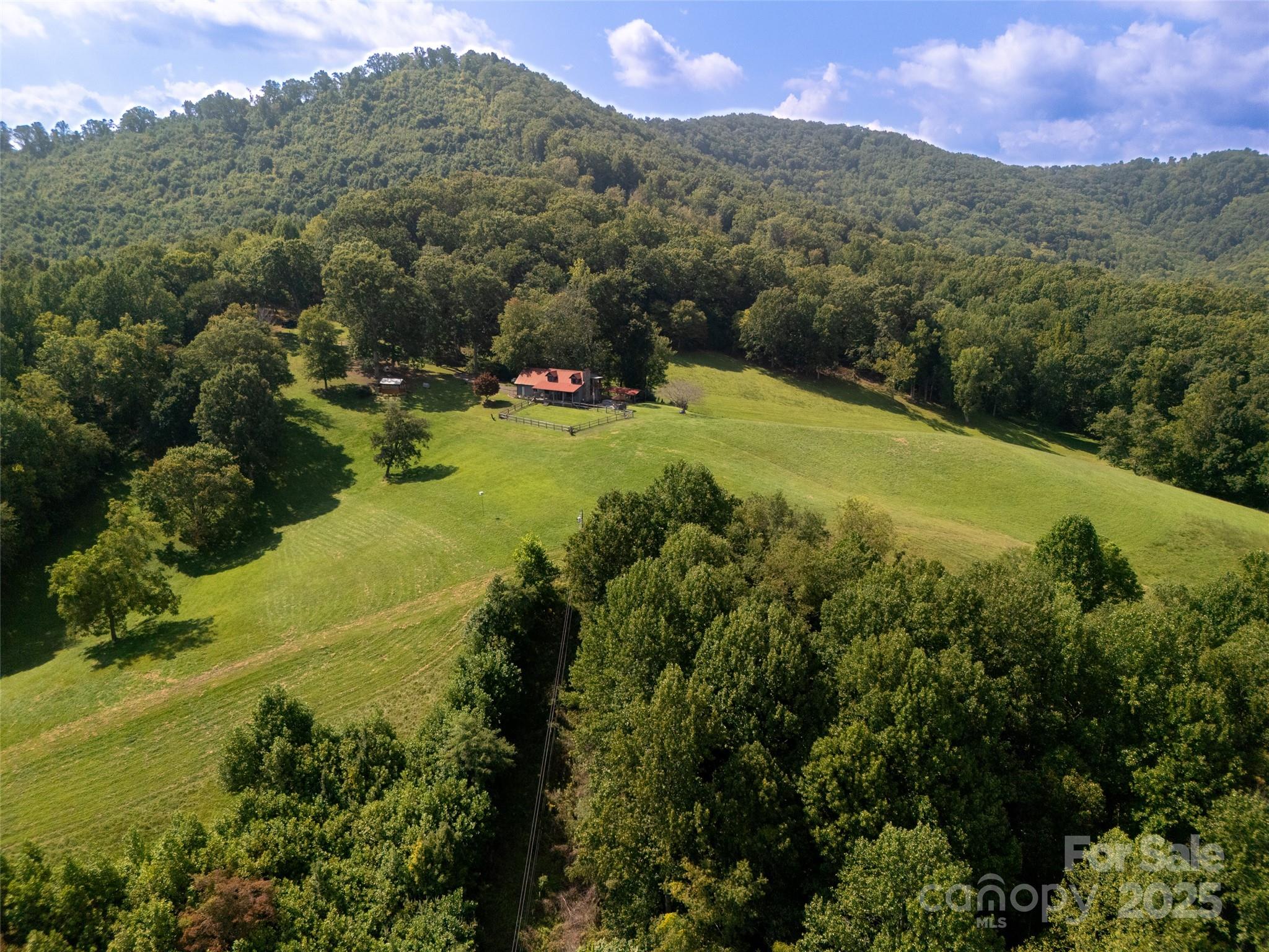 50 Holland Ridge Drive Candler NC 28715
