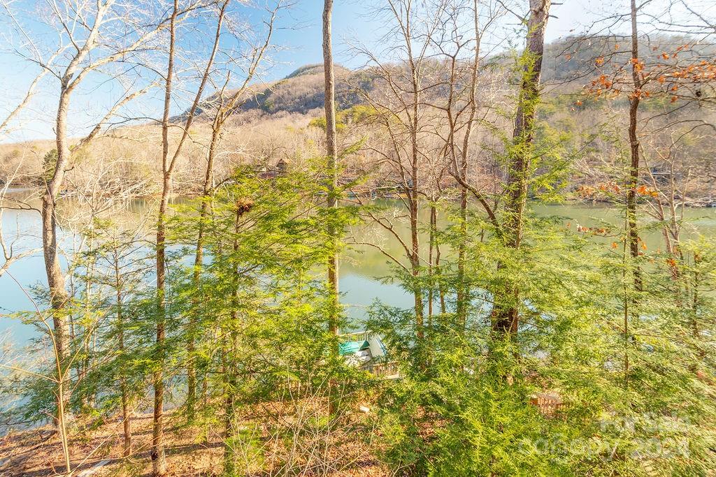 256 West Lake Drive N Lake Lure NC 28746