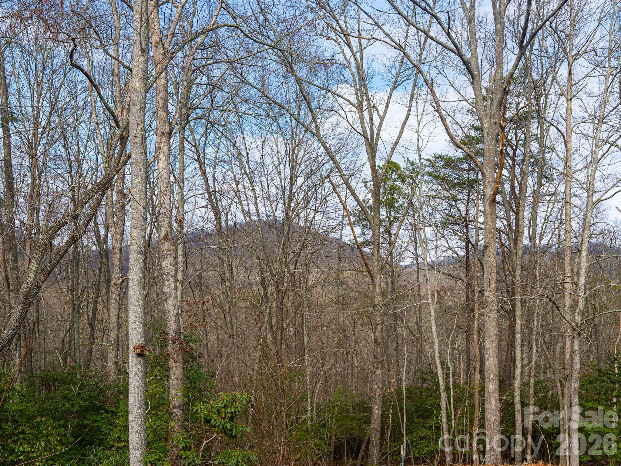 508 Avery Creek Road Arden NC 28704