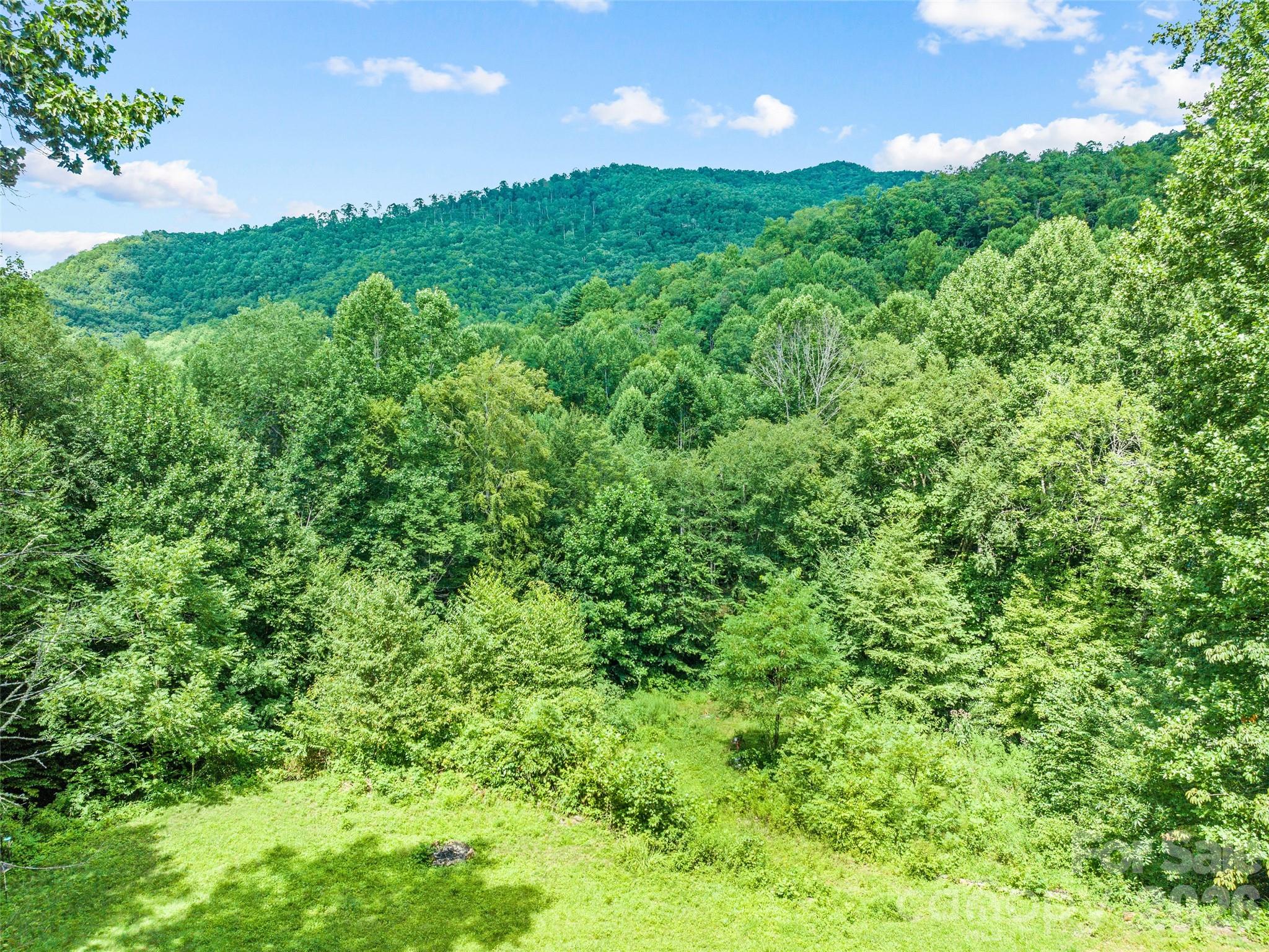 247 Three Springs Drive Sylva NC 28779