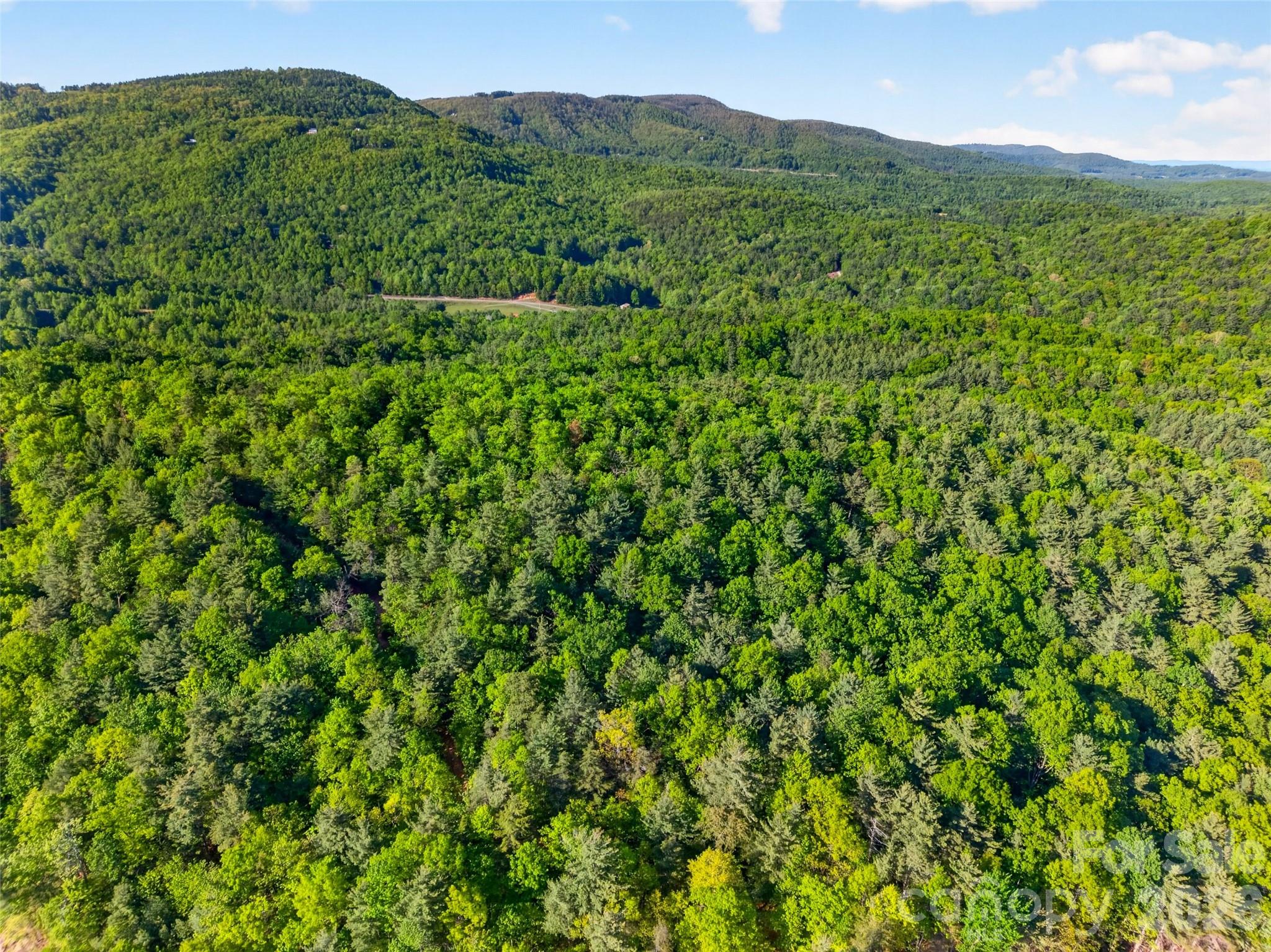 451 Signal Tree Road Deep Gap NC 28618