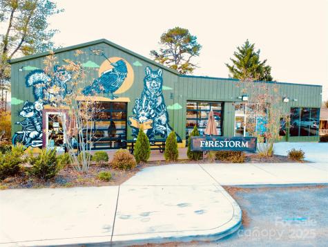 46 Belmont Avenue Asheville NC 28806