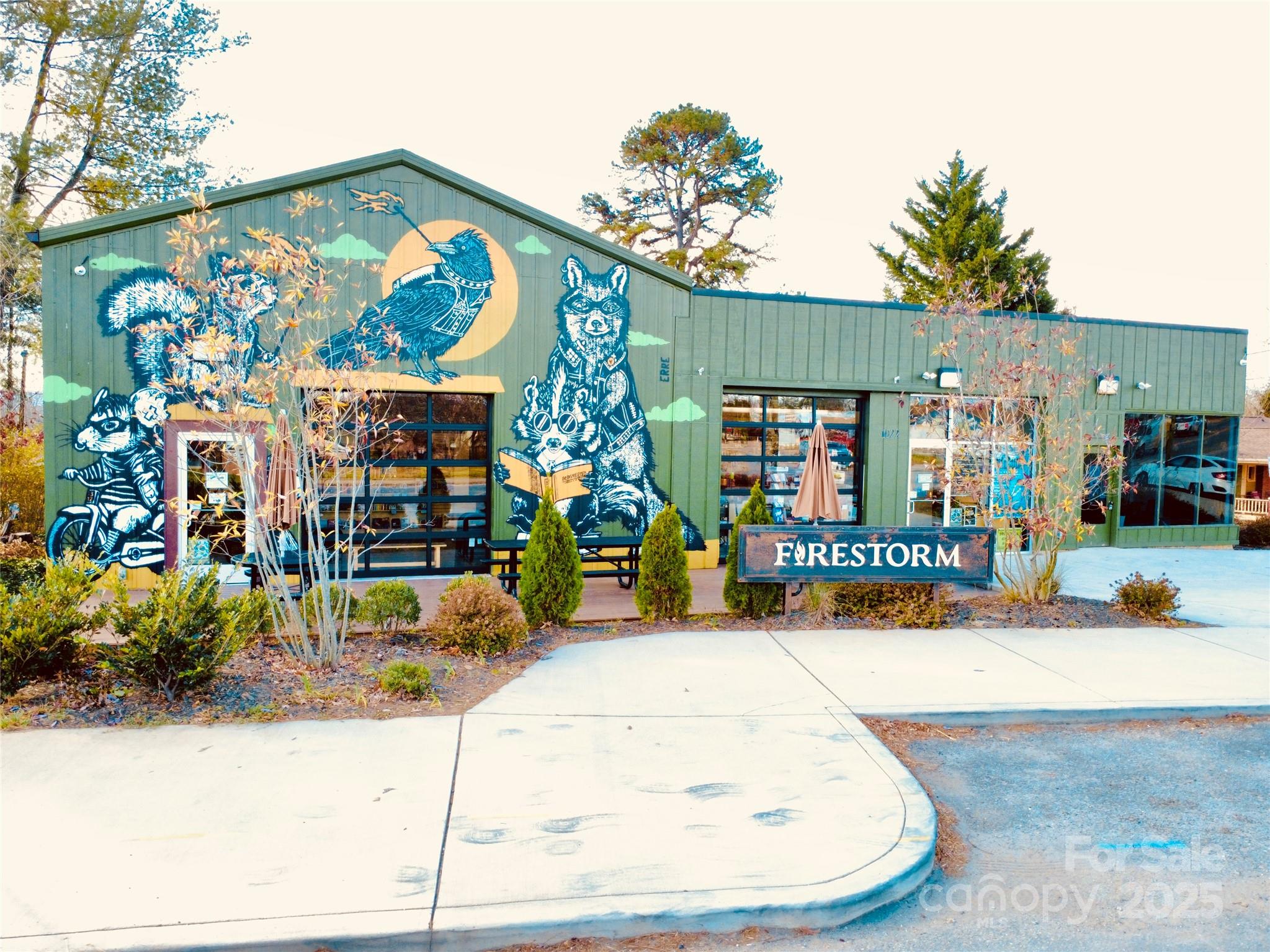 46 Belmont Avenue Asheville NC 28806