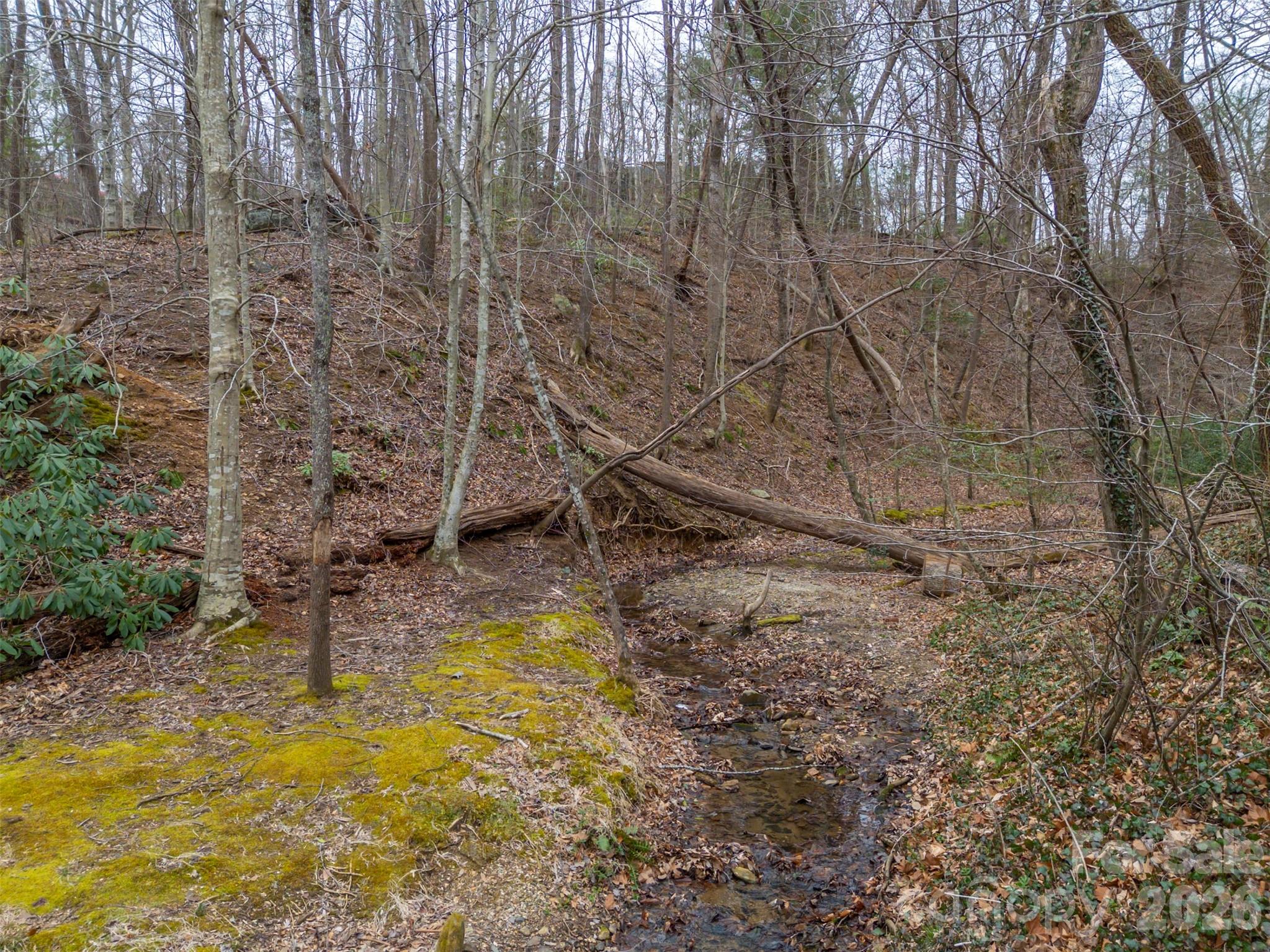 15 Meadowlark Drive Tryon NC 28782