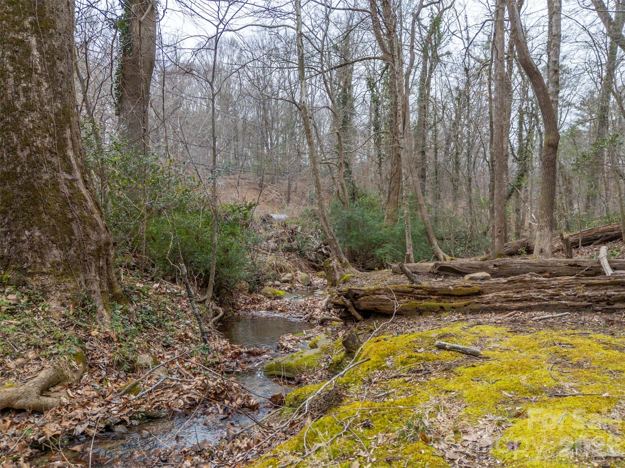 15 Meadowlark Drive Tryon NC 28782