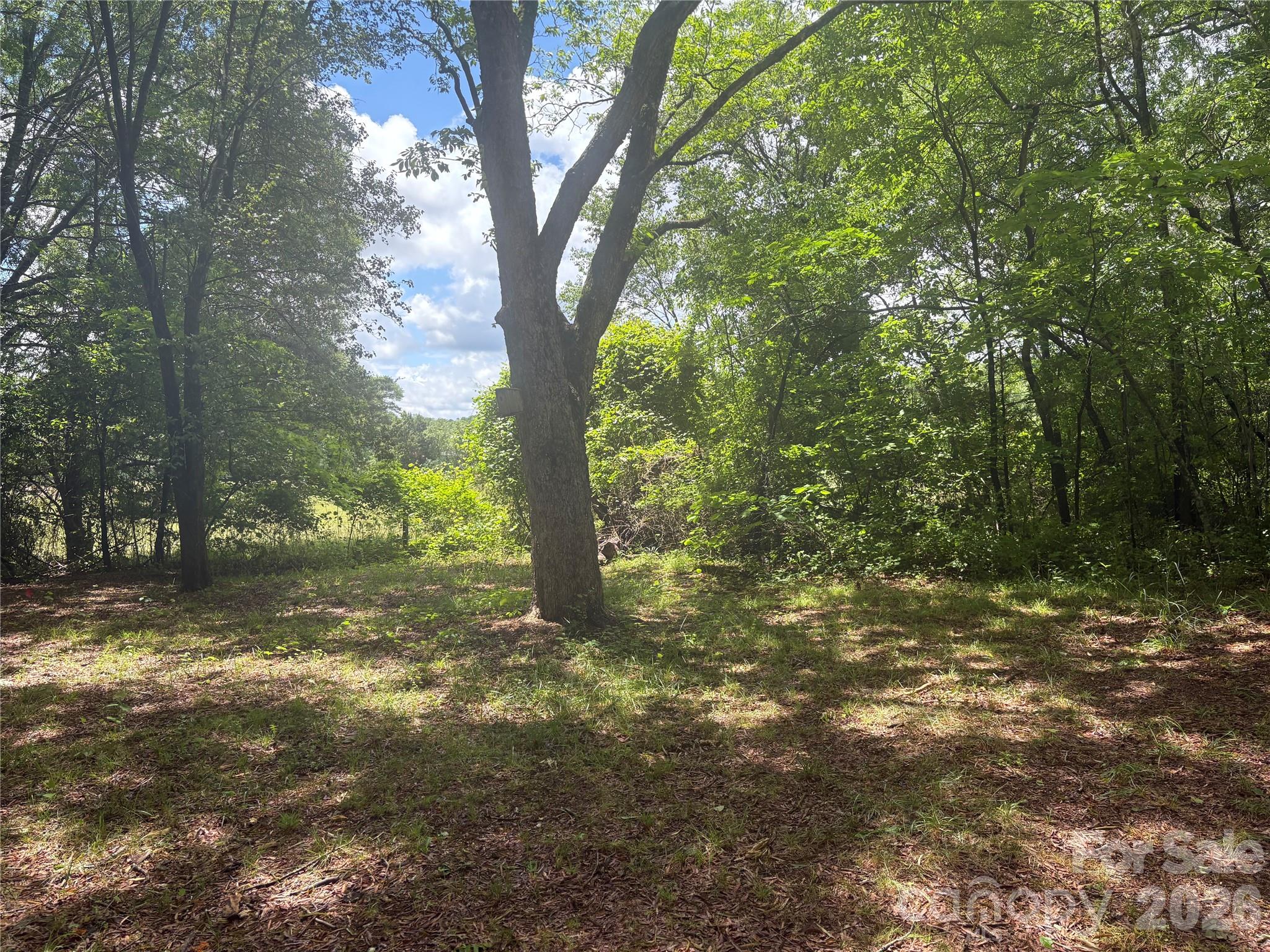 3880 Love Road Claremont NC 28610