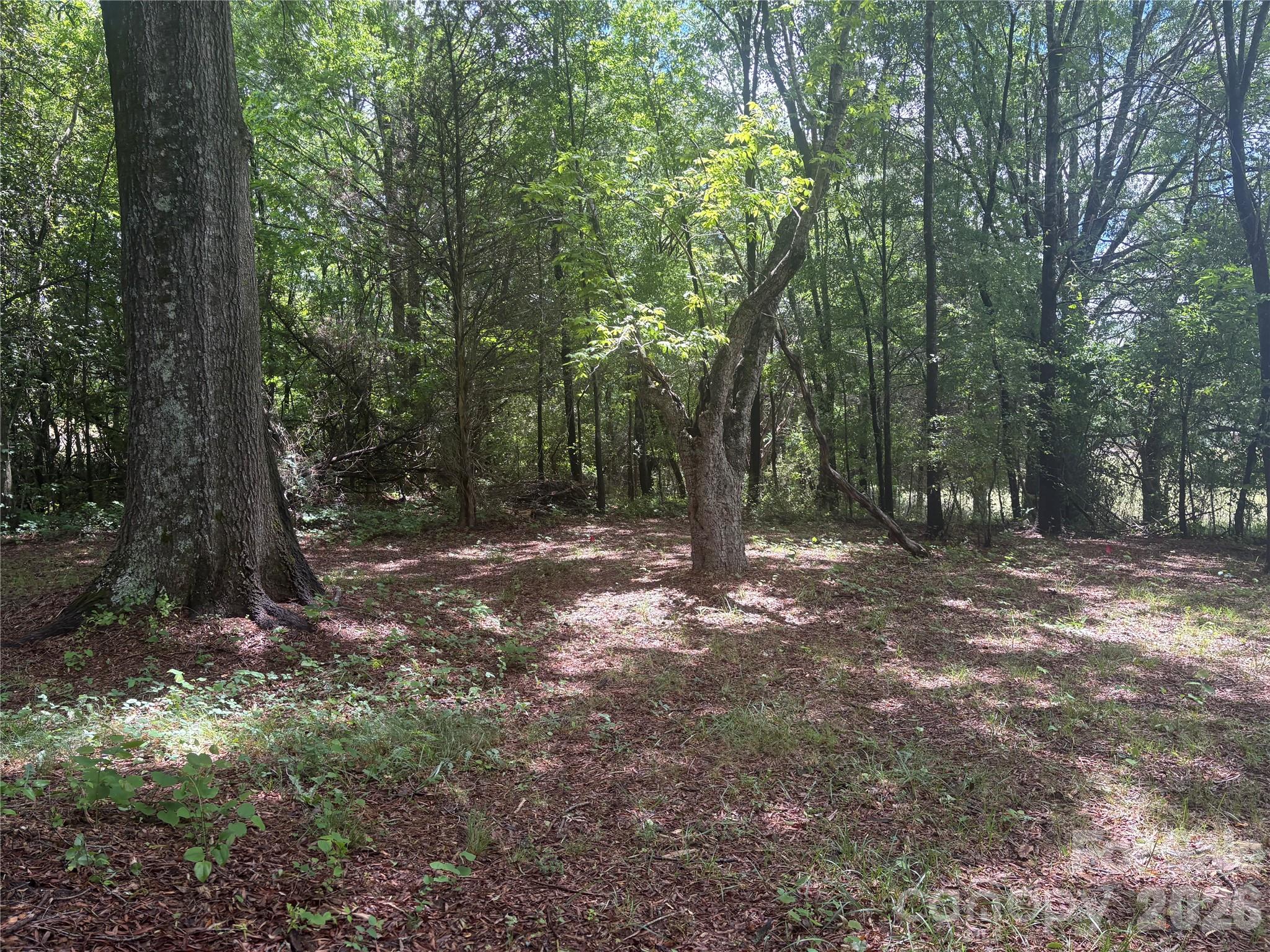 3880 Love Road Claremont NC 28610