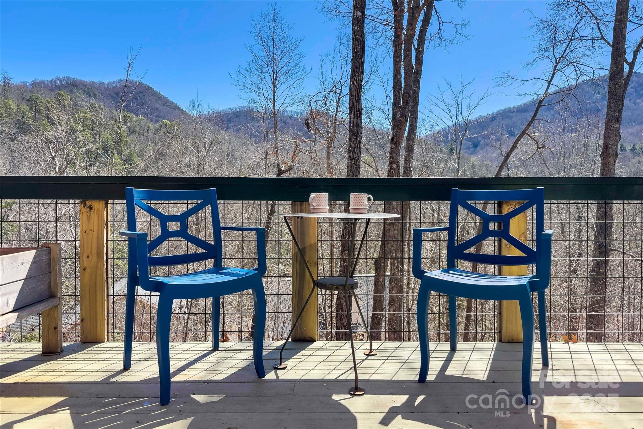 224 Fern Way Black Mountain NC 28711