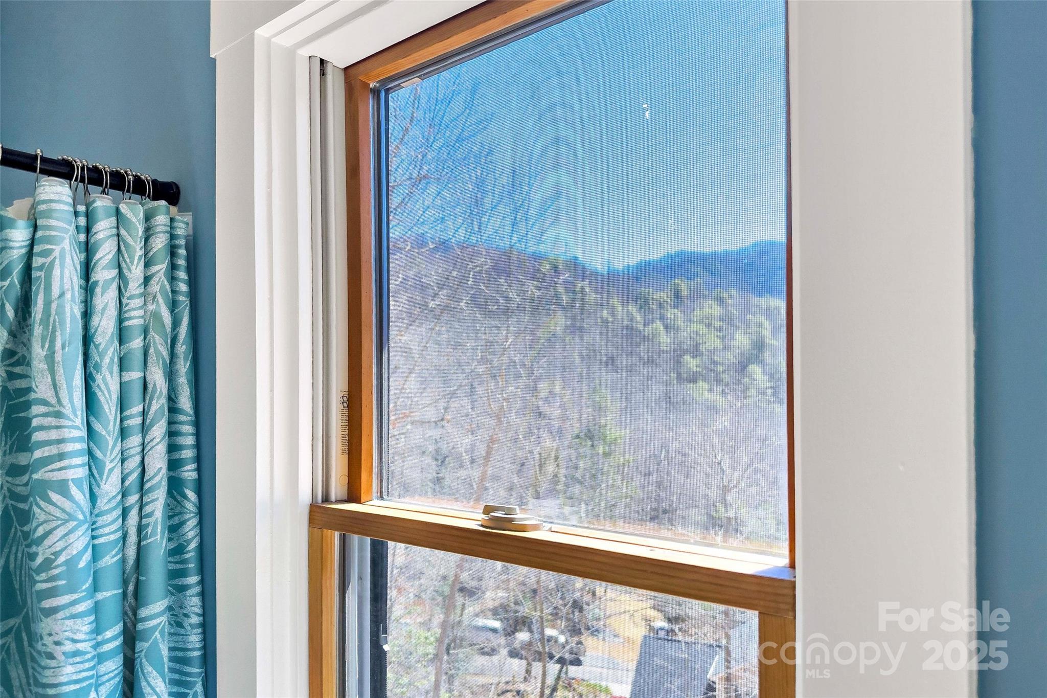 224 Fern Way Black Mountain NC 28711