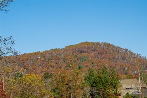 38 Chantilly Drive Asheville NC 28804