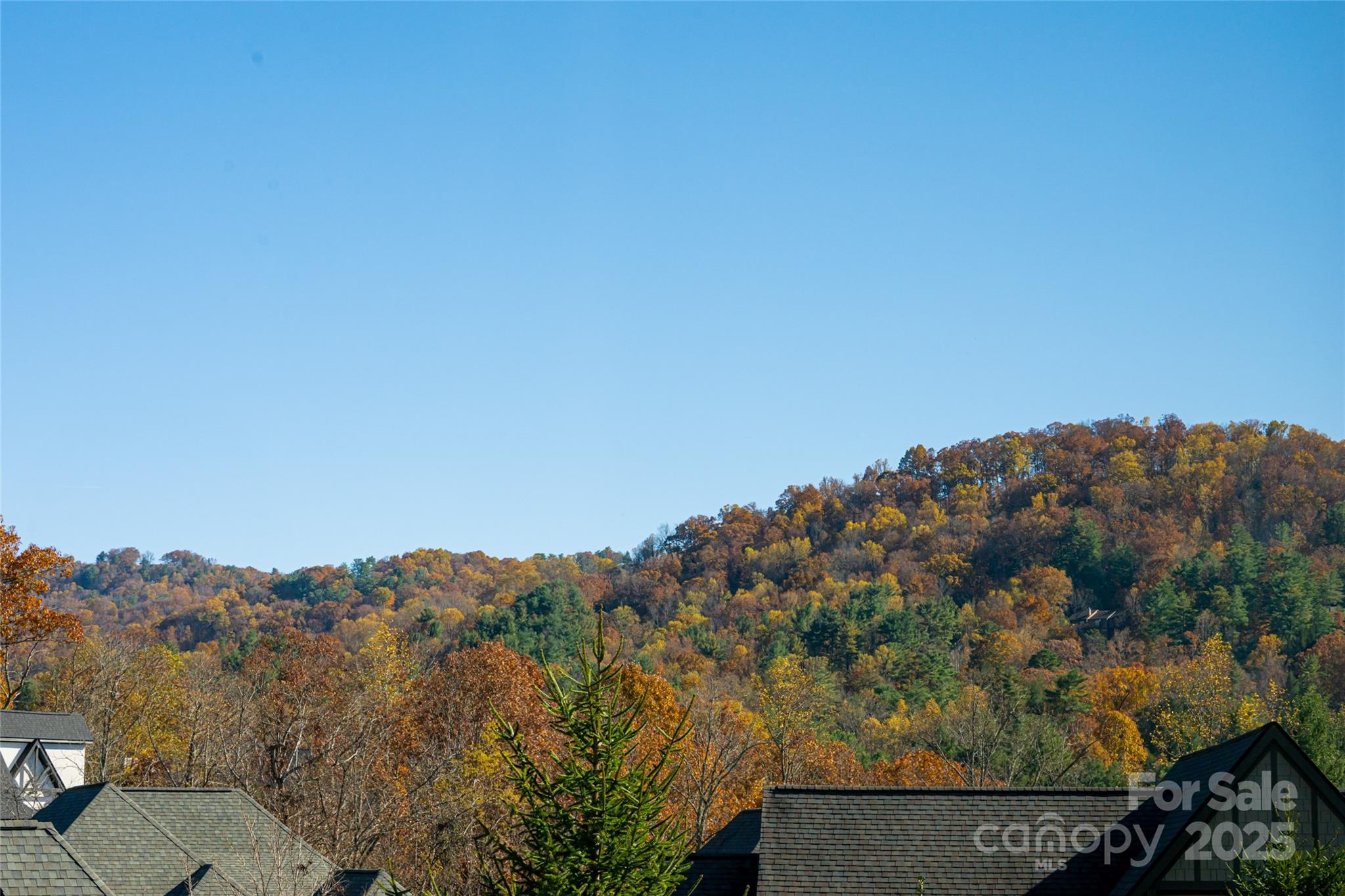 38 Chantilly Drive Asheville NC 28804