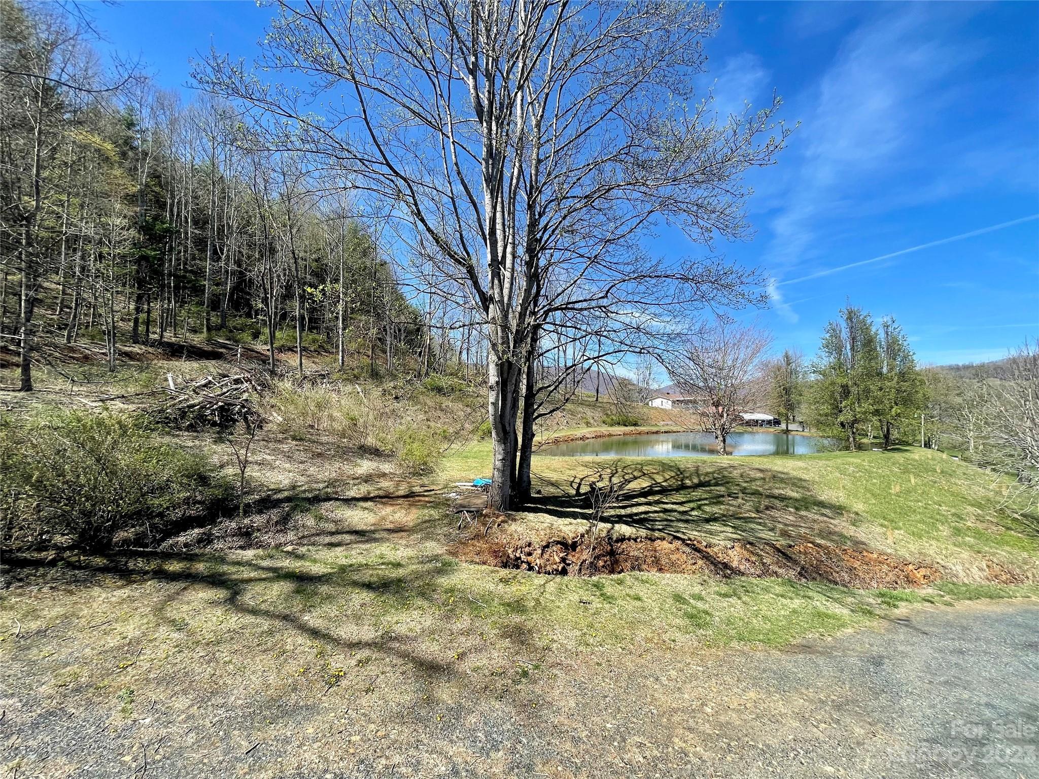 195 Trinity Lane Jefferson NC 28640