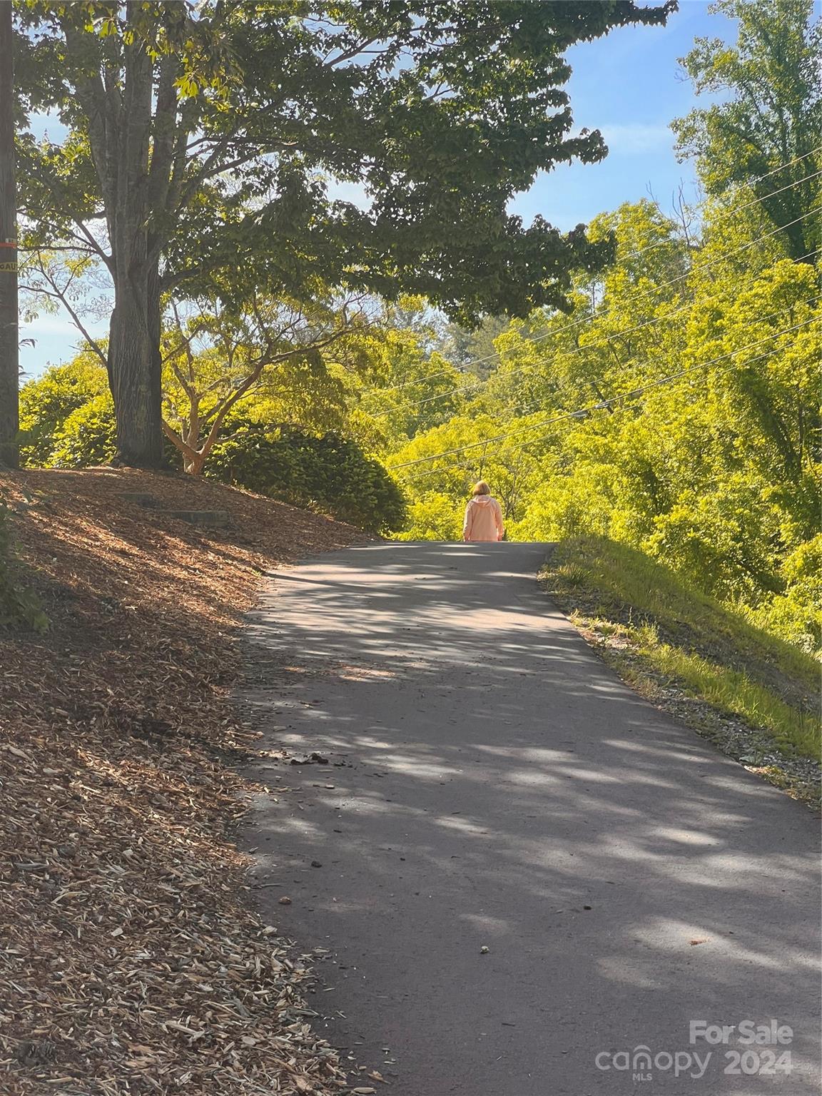 27 Water Pointe Way Weaverville NC 28787