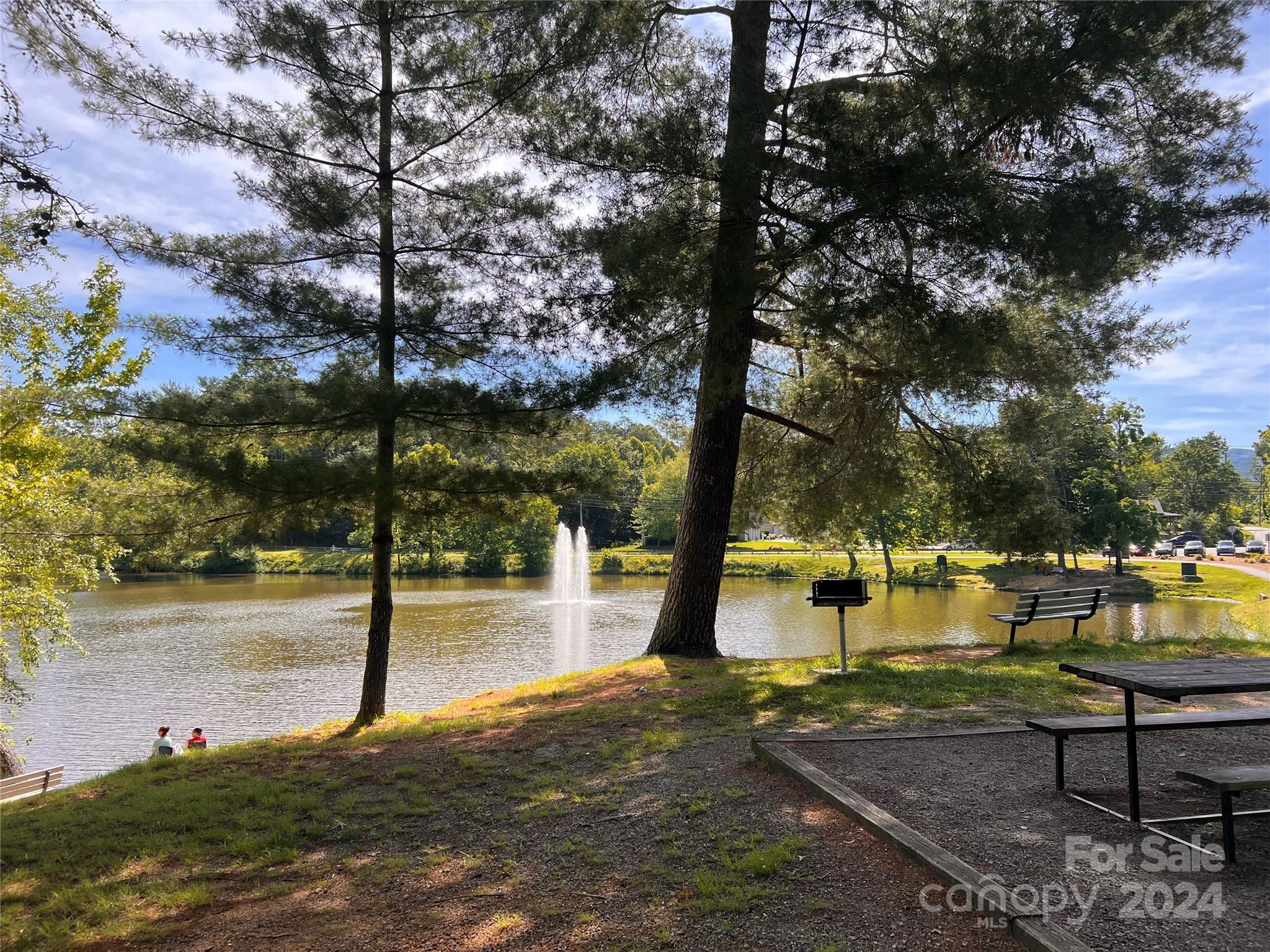 27 Water Pointe Way Weaverville NC 28787