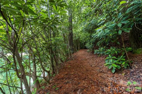 68 Huckleberry Ridge Lane Zirconia NC 28790