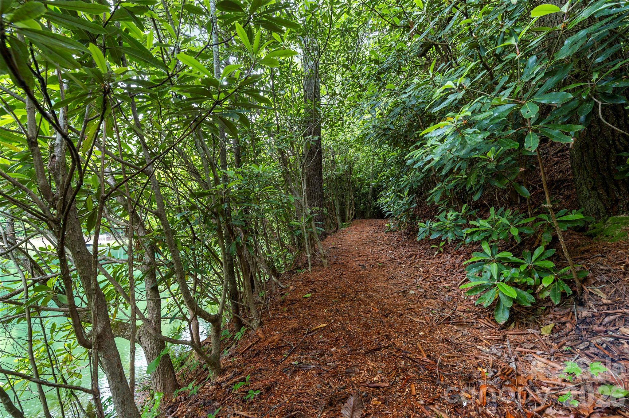 68 Huckleberry Ridge Lane Zirconia NC 28790