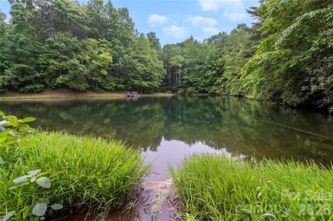 68 Huckleberry Ridge Lane Zirconia NC 28790