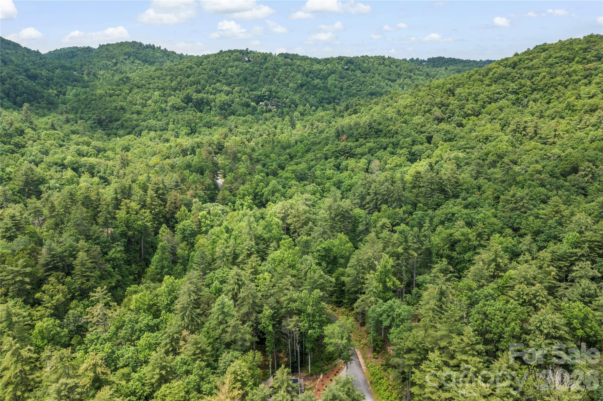 68 Huckleberry Ridge Lane Zirconia NC 28790