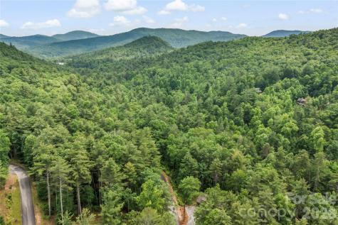 68 Huckleberry Ridge Lane Zirconia NC 28790