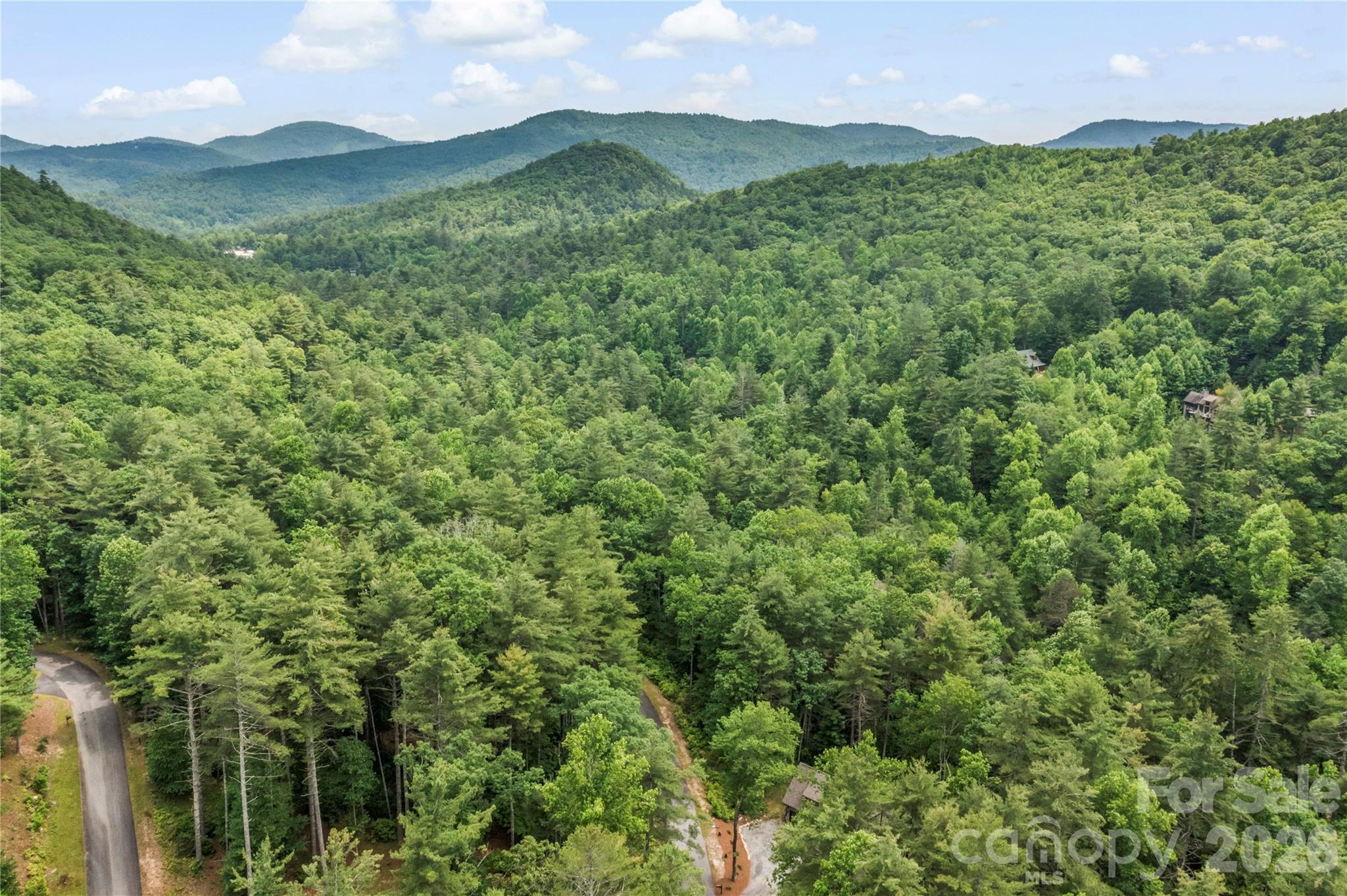 68 Huckleberry Ridge Lane Zirconia NC 28790