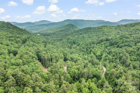 68 Huckleberry Ridge Lane Zirconia NC 28790