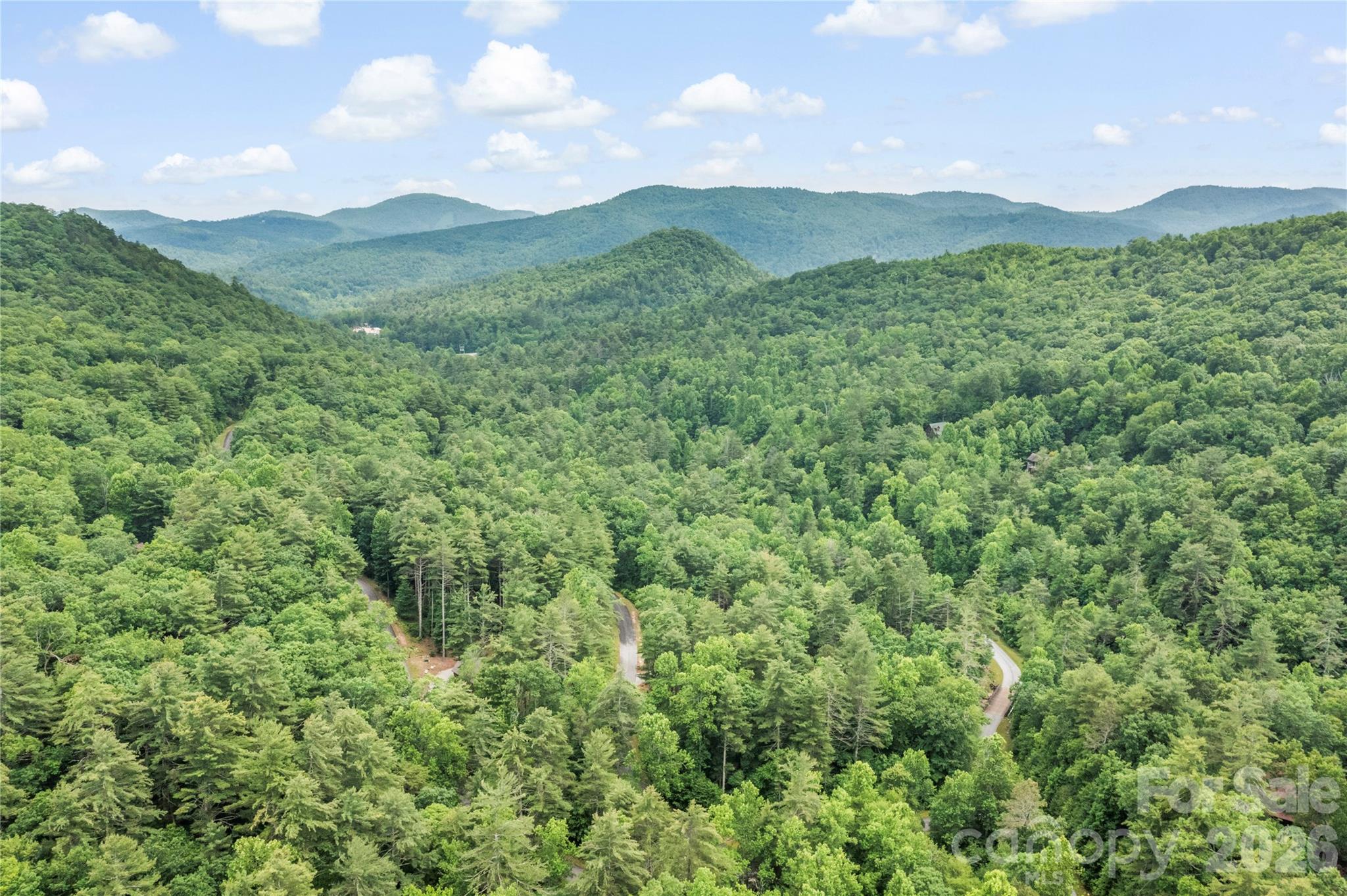 68 Huckleberry Ridge Lane Zirconia NC 28790